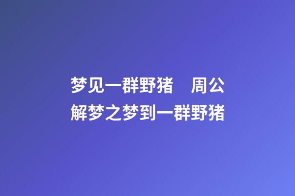 梦见一群野猪　周公解梦之梦到一群野猪